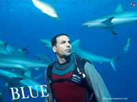 Blue 13a